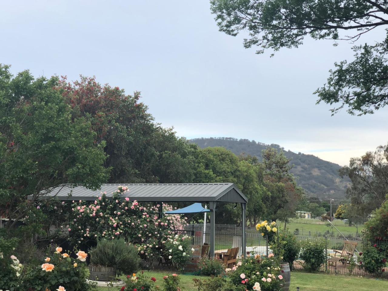 Valley View Motel Murrurundi Exterior photo